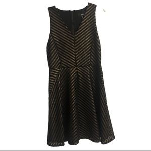 Mossimo Gold & Black Dress. Brand New w/ Tags